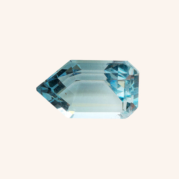 Gem School